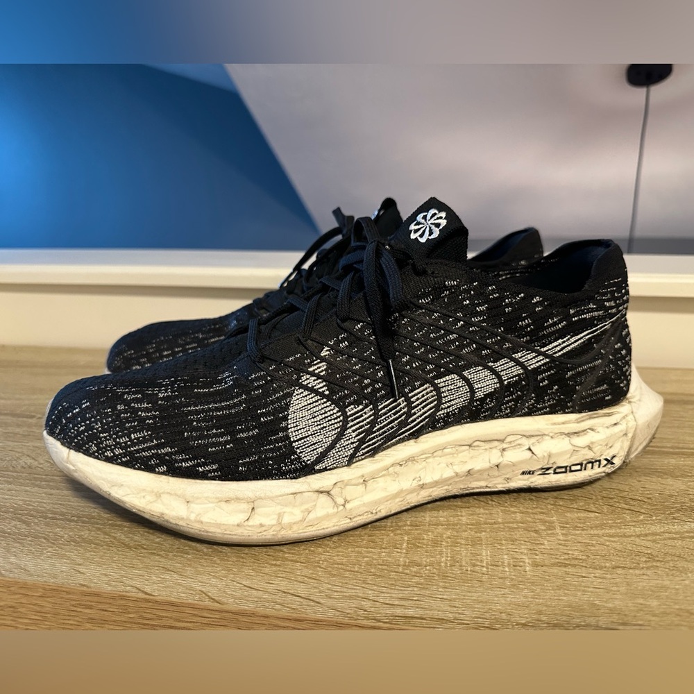 Nike Pegasus Turbo Next Nature